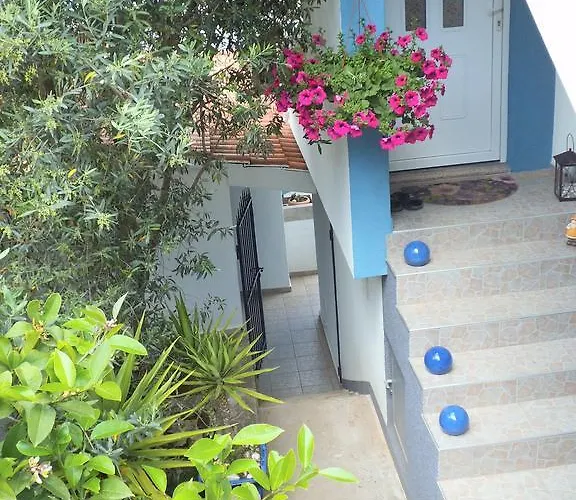 Blue View * تروغير