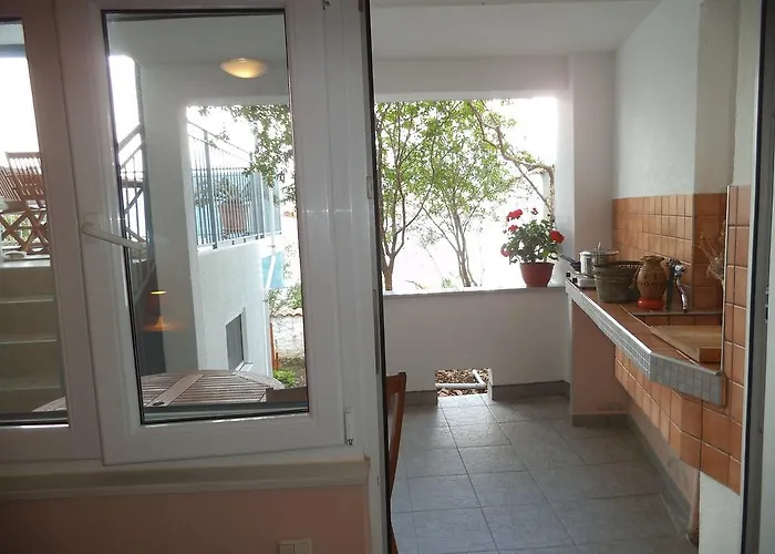 Blue View تروغير