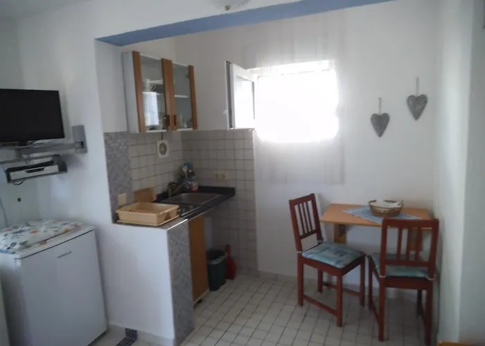 Blue View تروغير