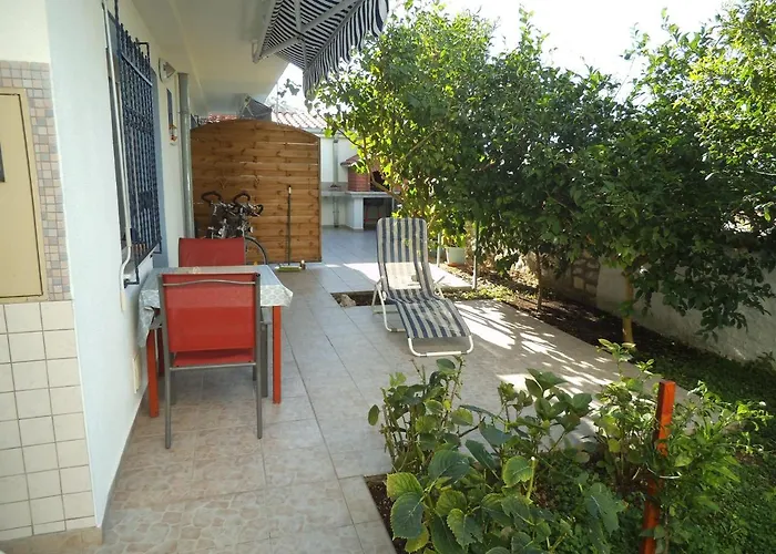 Blue View تروغير