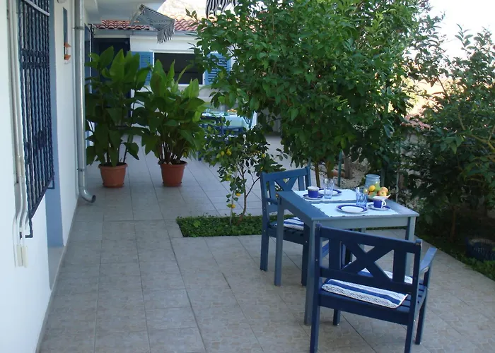 Blue View تروغير