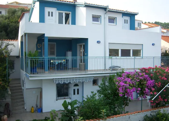 Blue View تروغير